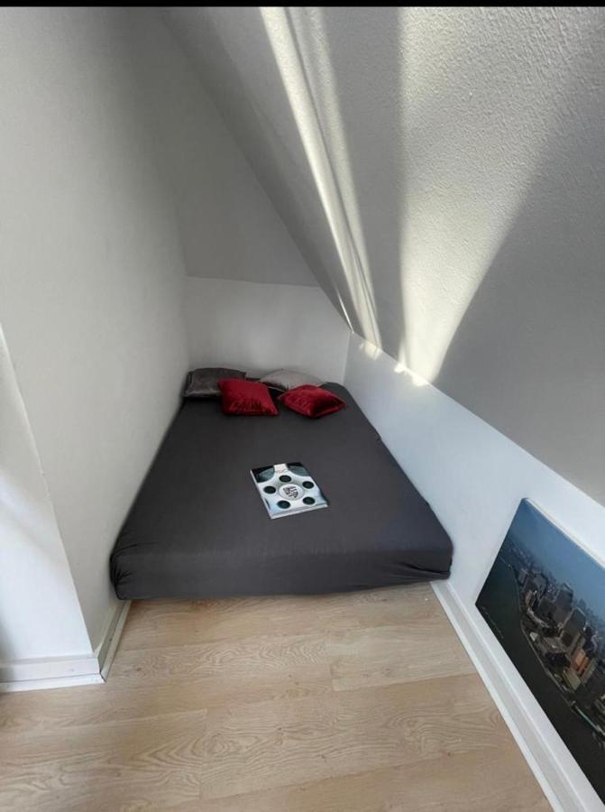 デュッセルドルフLuxury Rooftop Loft With River View 10Min To Cityアパートメント エクステリア 写真